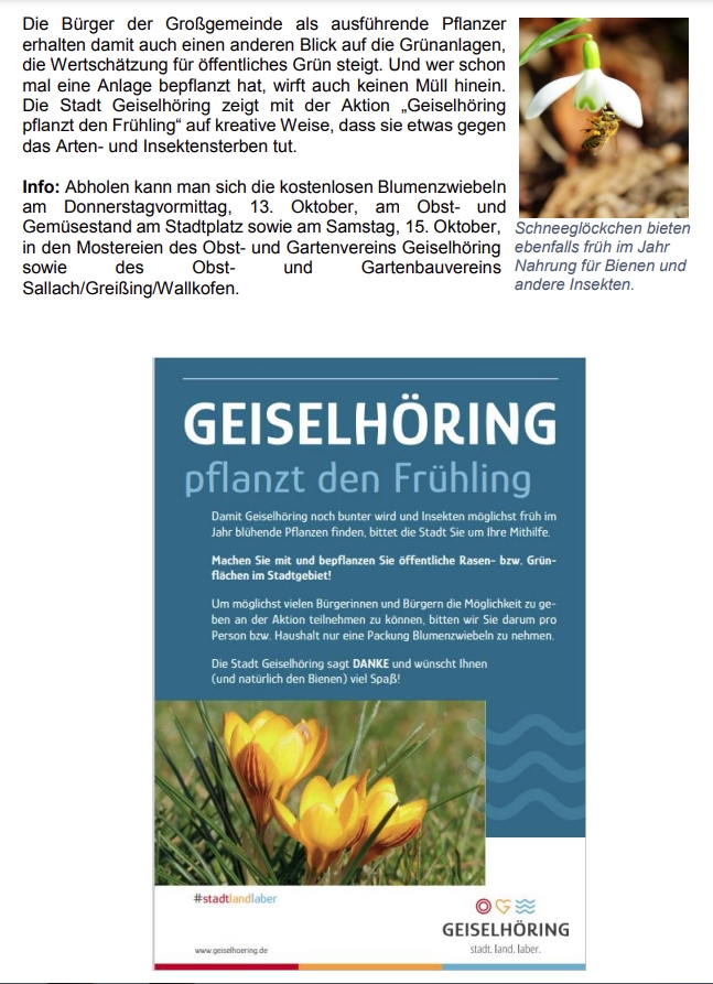 Blumenzwiebeln GH 1