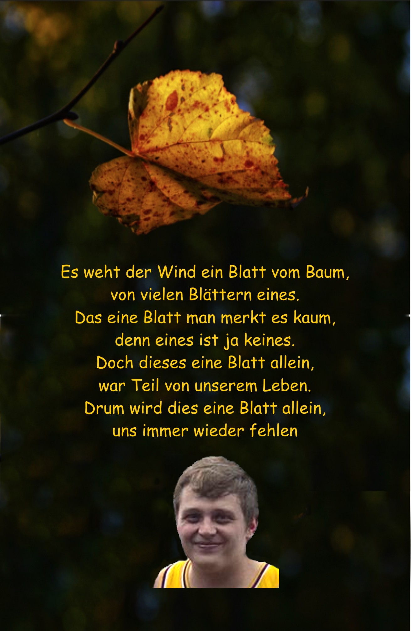 Es weht der Wind Tim 1