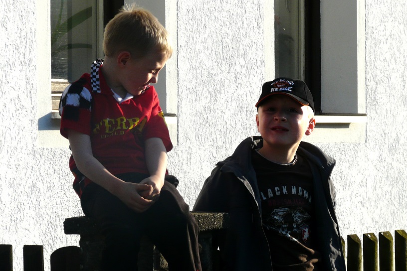 Maibaum 2008 1