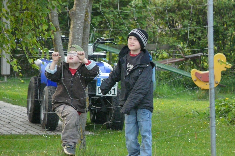 Maibaum 2009
