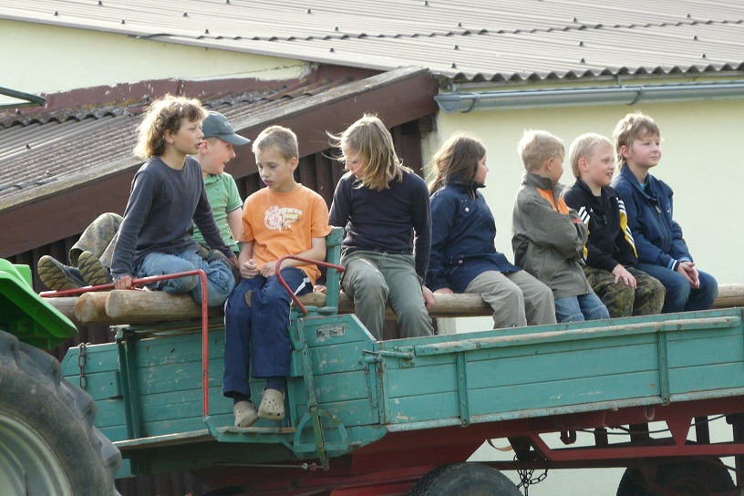 Maibaum 2010 1