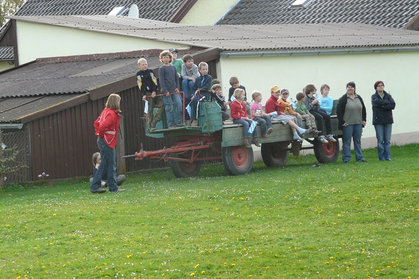 Maibaum 2010 7