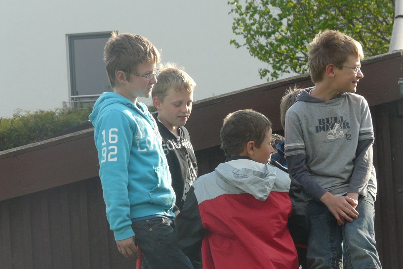 Maibaum 2011 1
