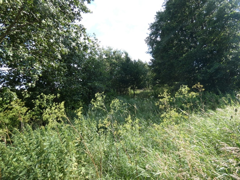P1240536