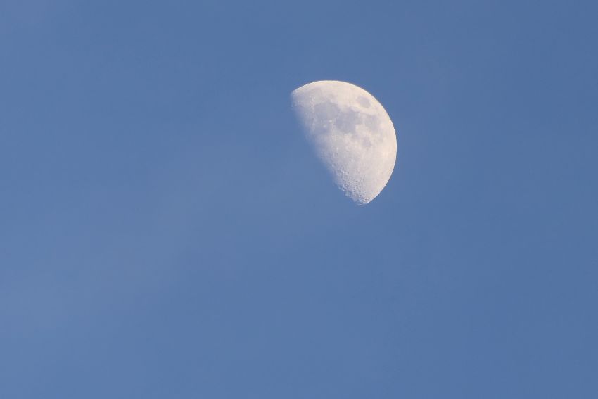 P1230709