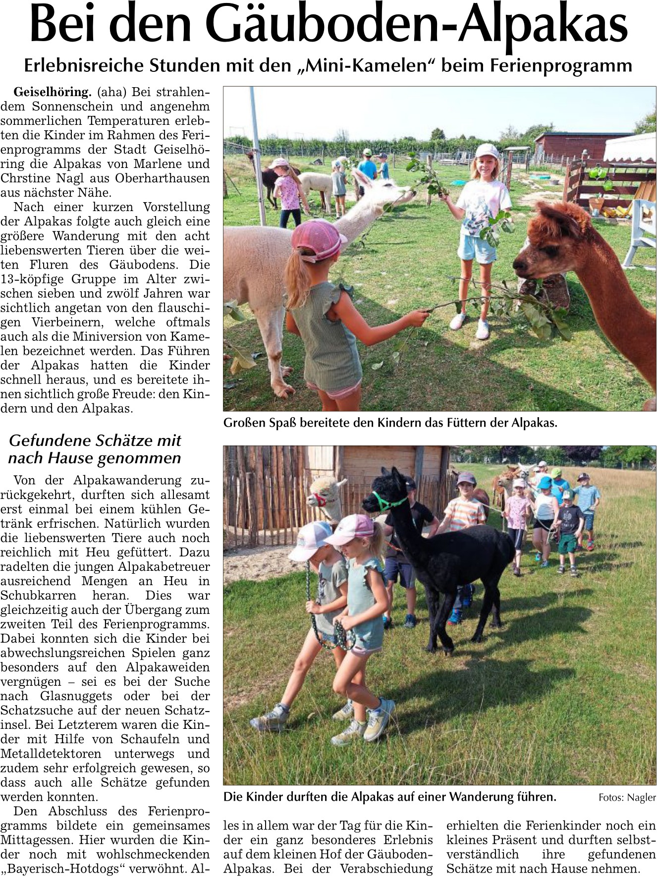 E Paper Mediengruppe Attenkofer 20.08.2025 LAB Bei den GaubodenAlpakas