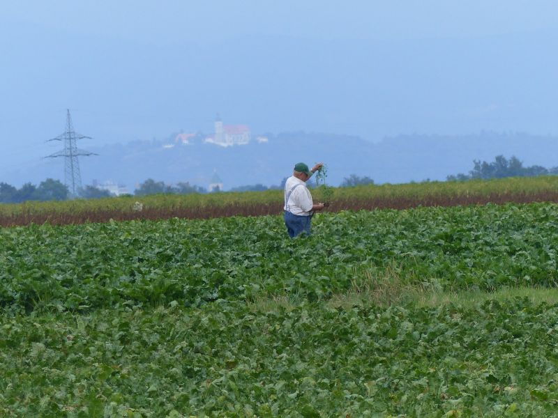 P1650166