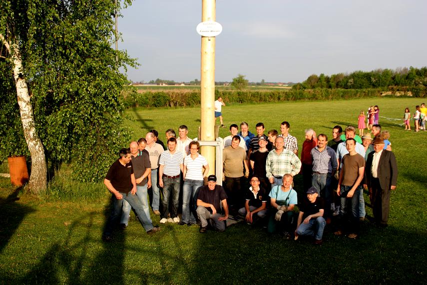 Maibaum 2012