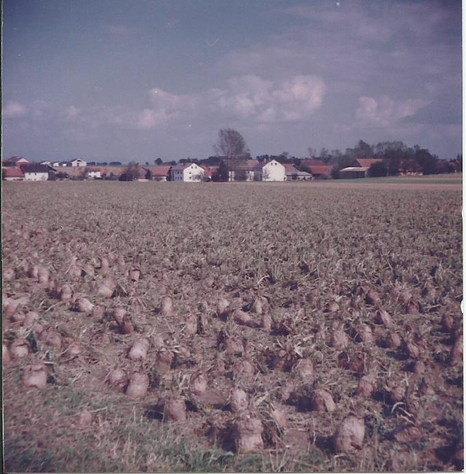 1982 Hagel 2