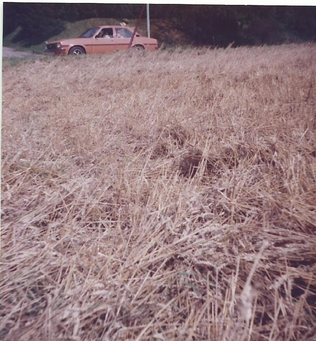 1982 Hagel 7